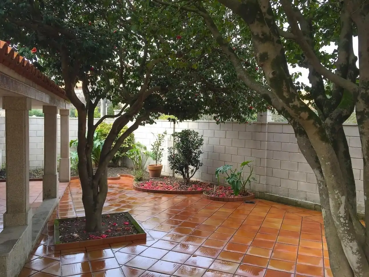 Terrace of Detached homes for sale in Vigo   with Terrace