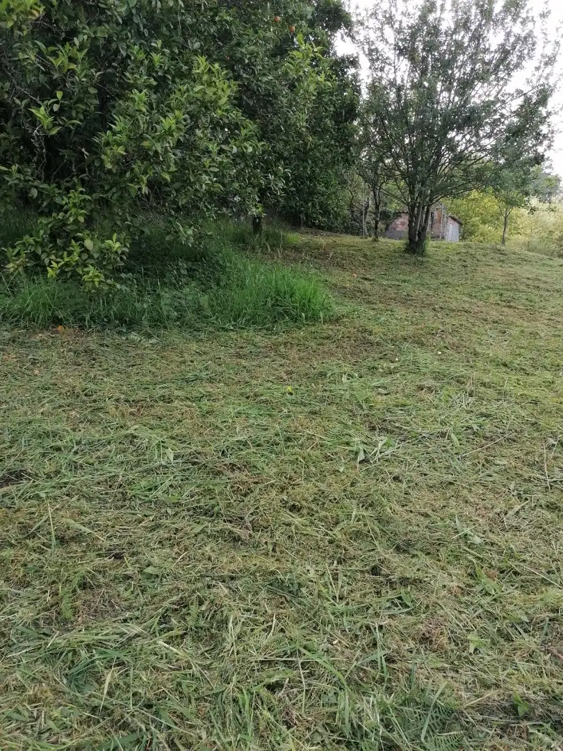 Casa o xalet en venda a Lugar Armada-Salcedo, 4, Parroquias Rurales Casa o xalet en venda en Pontevedra Capital amb Jardí privat