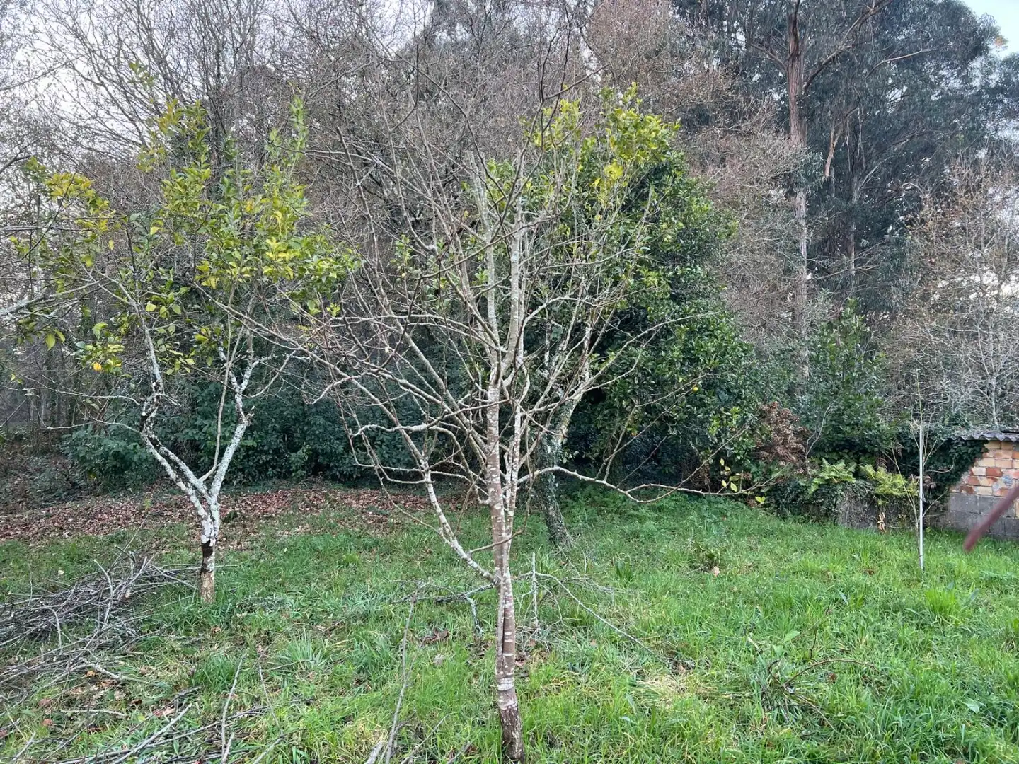 Casa o xalet en venda a Lugar Armada-Salcedo, 4, Parroquias Rurales Casa o xalet en venda en Pontevedra Capital amb Jardí privat