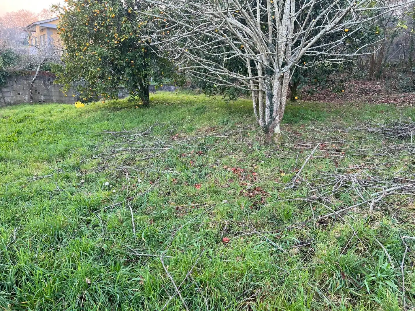 Casa o xalet en venda a Lugar Armada-Salcedo, 4, Parroquias Rurales Casa o xalet en venda en Pontevedra Capital amb Jardí privat