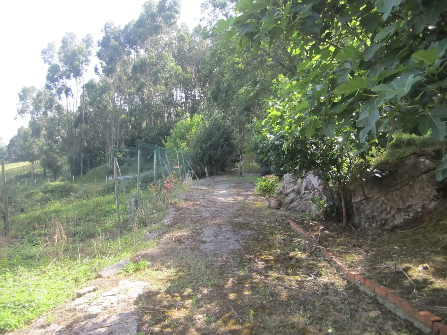 Houses for sale in Piélagos