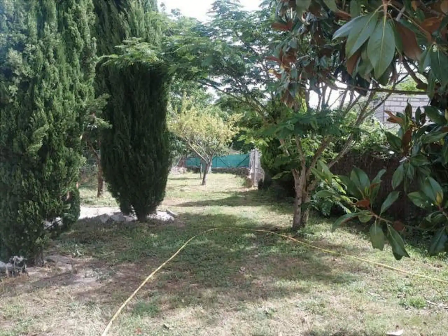 Detached homes for sale in Allariz