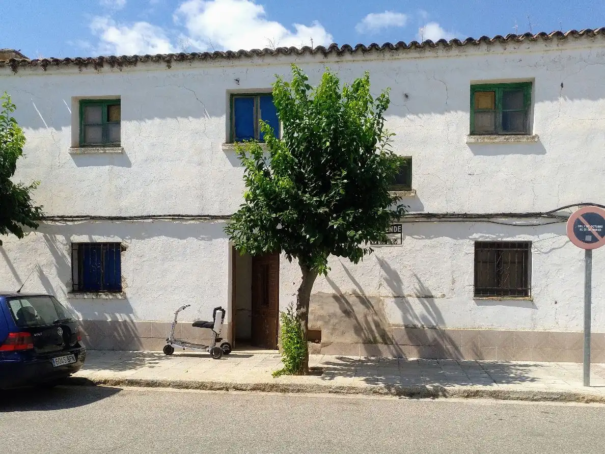 Exterior view of Detached homes for sale in Pueblonuevo del Guadiana