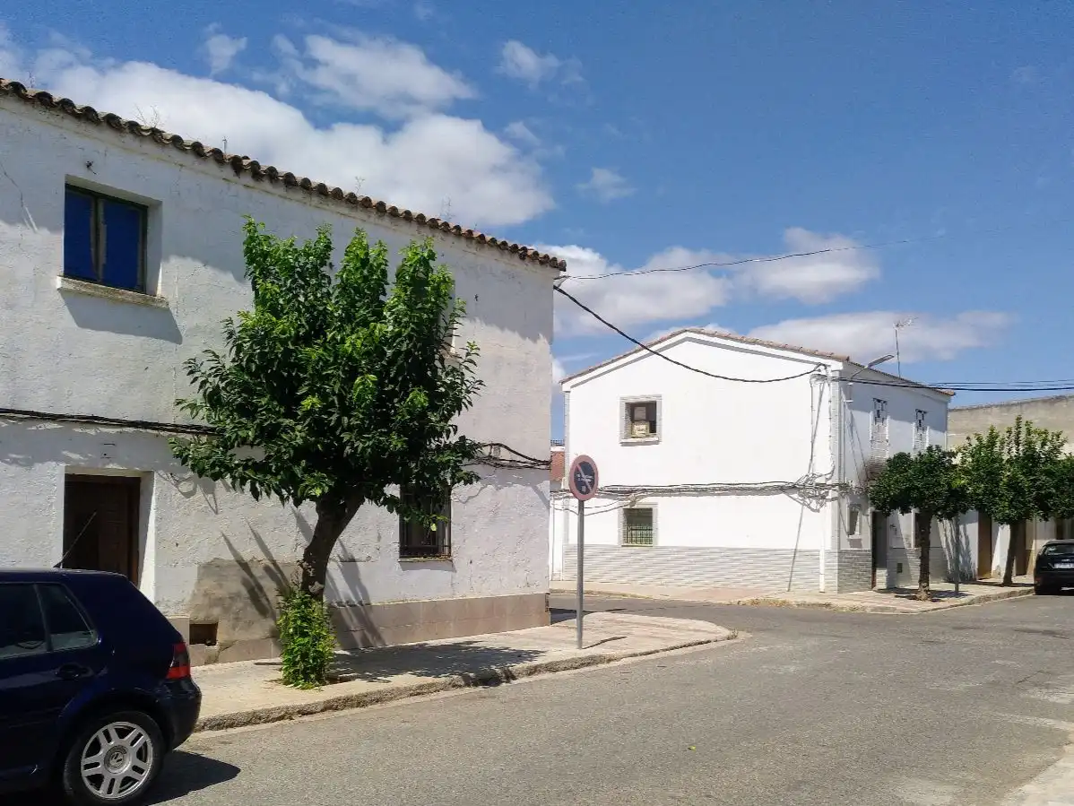 Exterior view of Detached homes for sale in Pueblonuevo del Guadiana