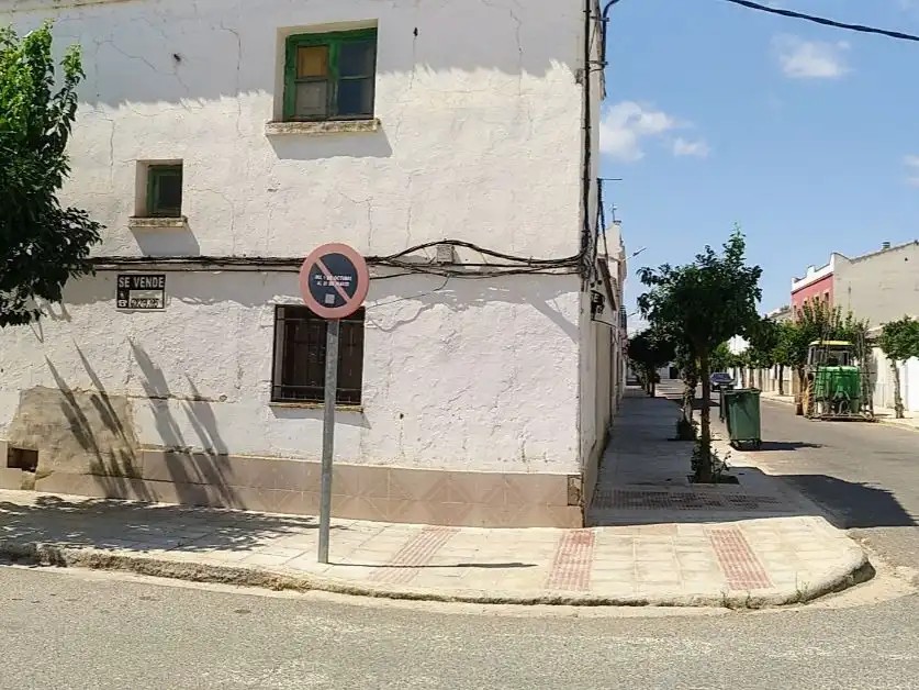 Exterior view of Detached homes for sale in Pueblonuevo del Guadiana