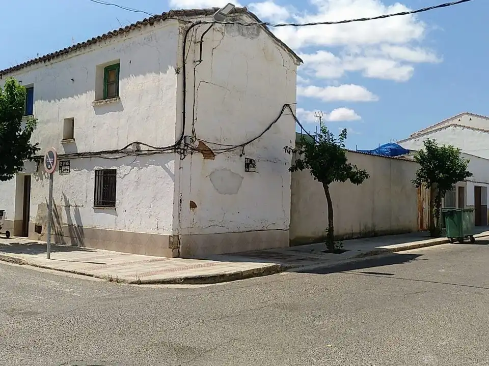 Exterior view of Detached homes for sale in Pueblonuevo del Guadiana