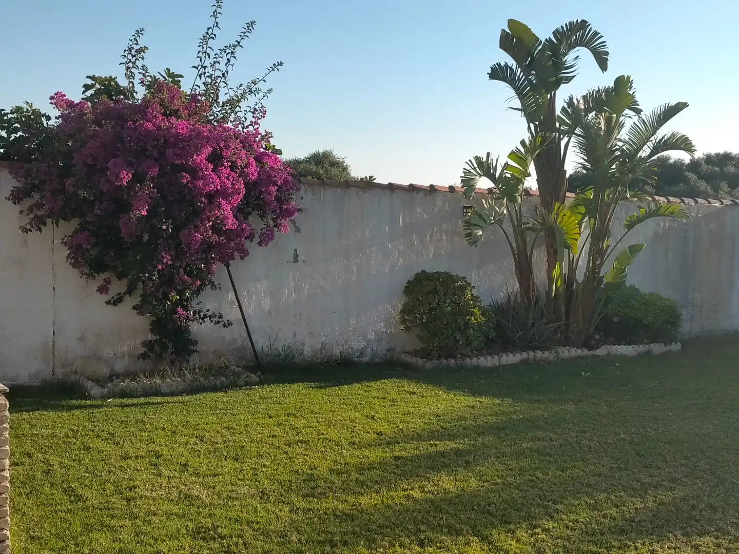 Jardí de Casa o xalet en venda en Chiclana de la Frontera amb Aire condicionat i Piscina