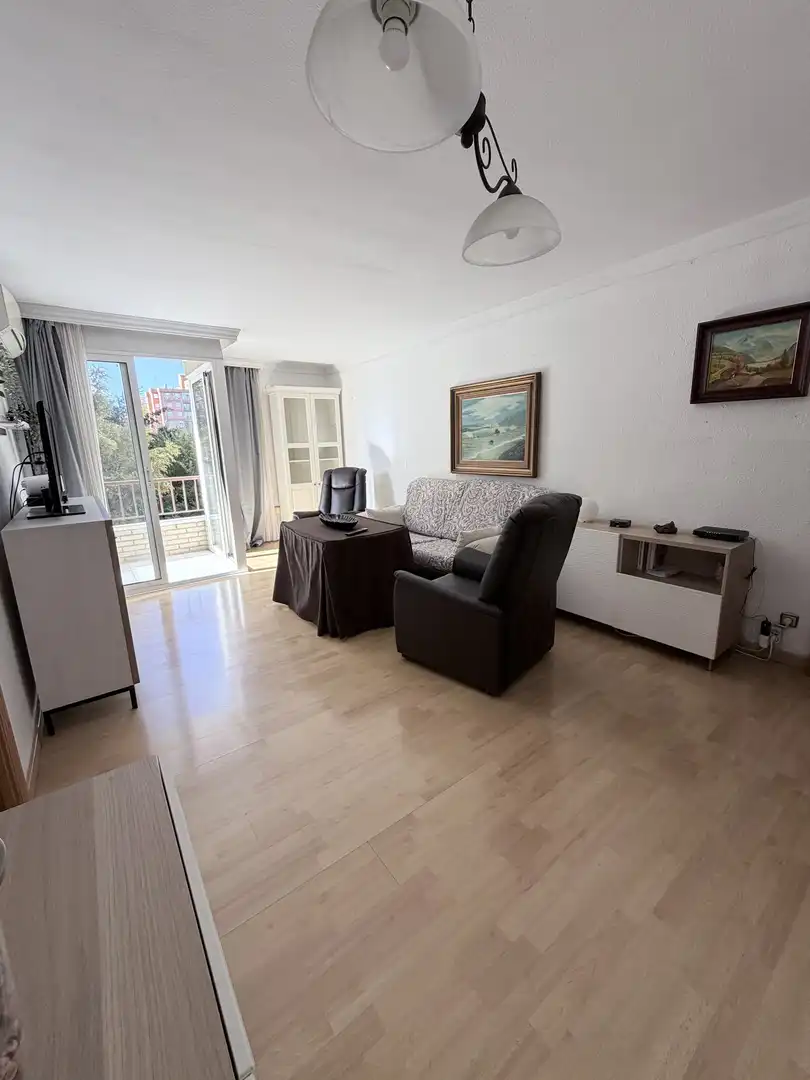 Sala d'estar de Pis en venda en Málaga amb Aire condicionat, Jardí privat i Parquet