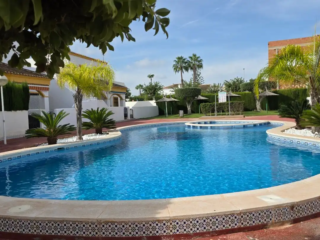 Swimming pool of Detached homes for rent in Pilar de la Horadada  with Air Conditioner, Heating and Private garden