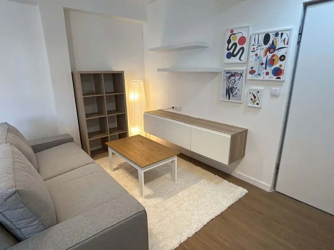 Sala d'estar de Pis de lloguer en Madrid amb Aire condicionat, Calefacció i Parquet