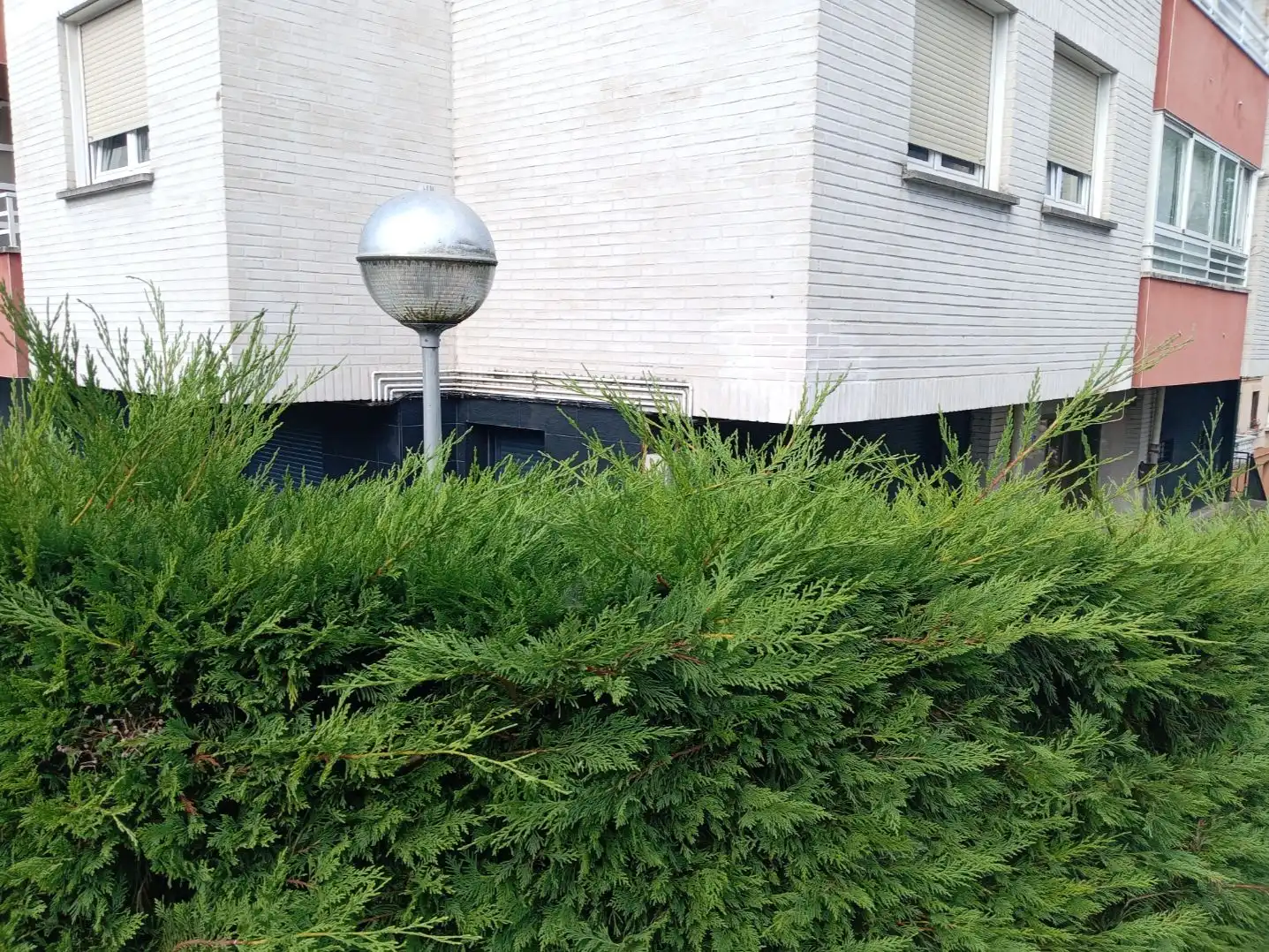 Piso en venta en Herrera Pasealekua, 49, Altza Jardín de Piso en venta en Donostia - San Sebastián con Calefacción y Parking comunitario