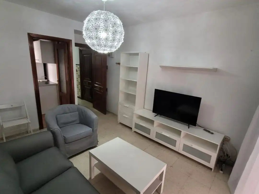 Living room of Flat for rent in Sevilla  with Terrace and Furnished