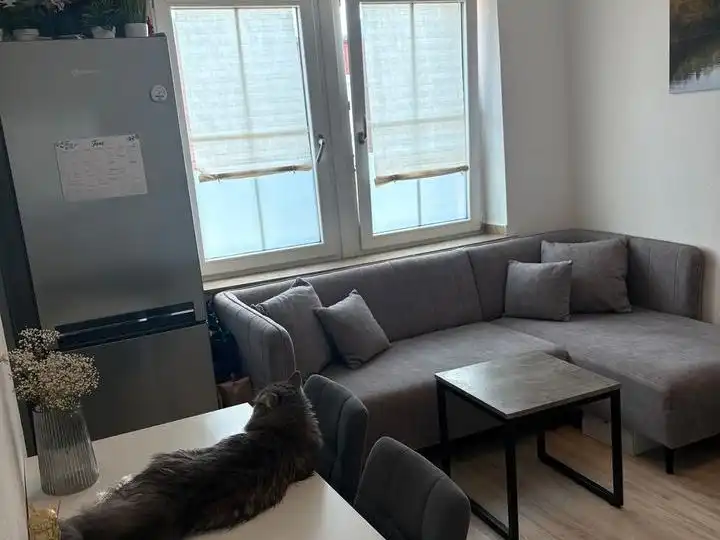 Sala de estar de Piso de alquiler en Barcelona con Aire acondicionado y Amueblado
