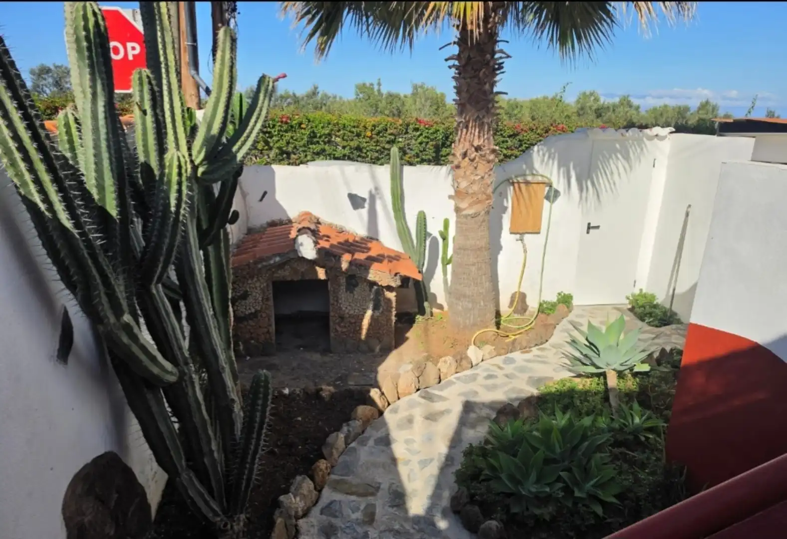 Jardín de Apartamento de alquiler en Adeje con Jardín privado, Terraza y Amueblado