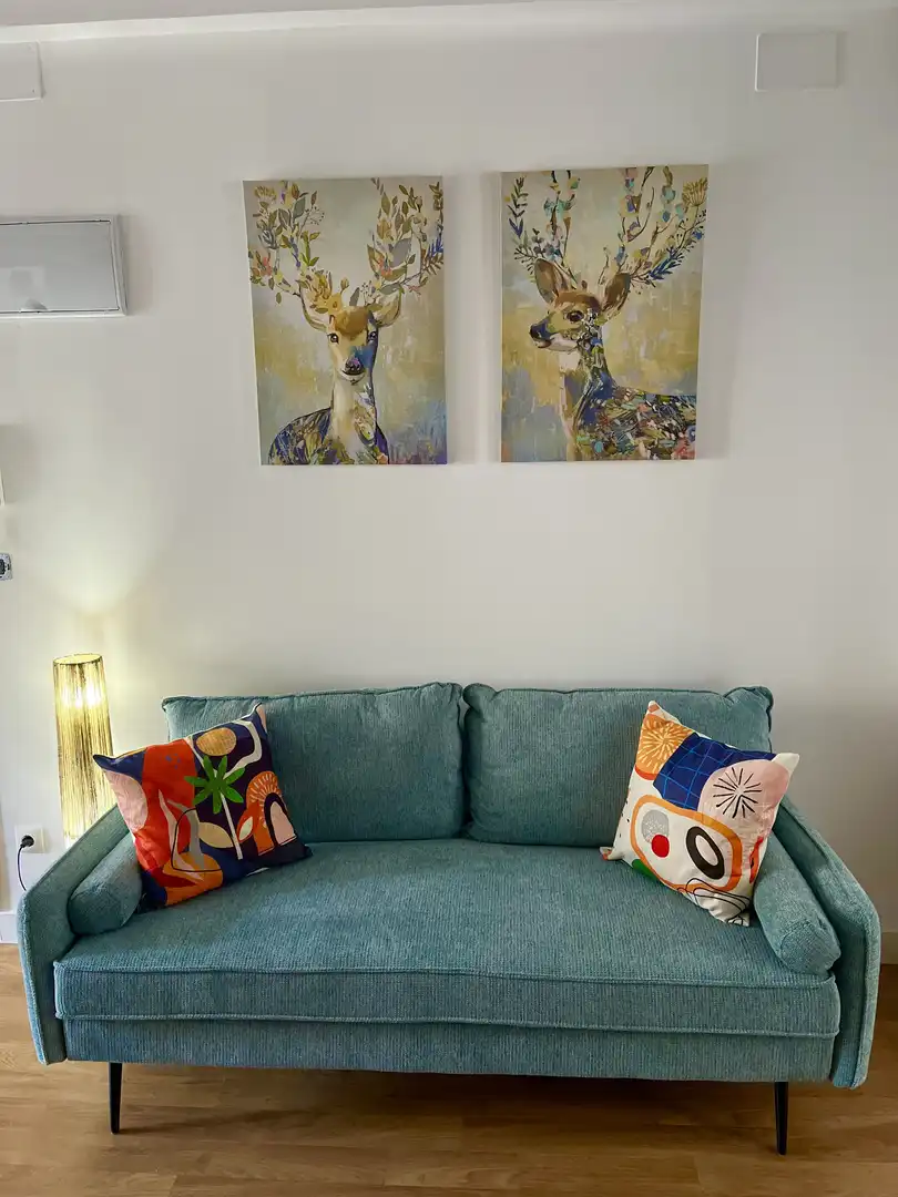 Living room of Apartments for rent in Santander  with Parquet flooring, Furnished and Balcony