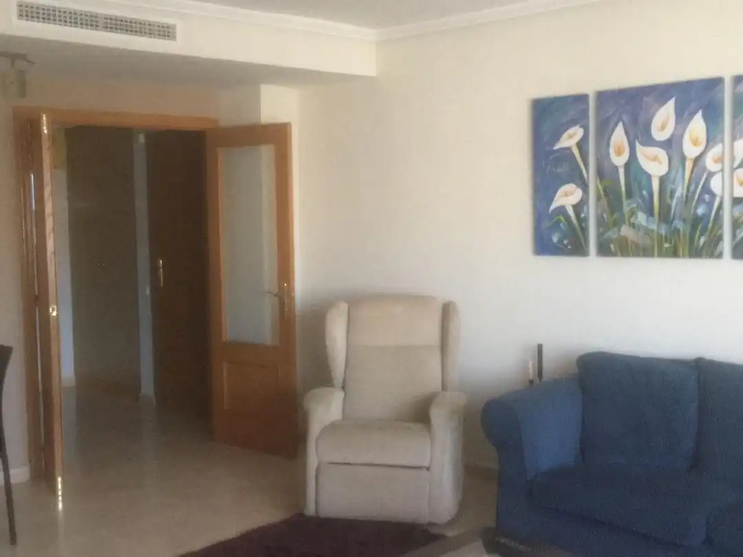 Sala d'estar de Pis de lloguer en Castellón de la Plana / Castelló de la Plana amb Aire condicionat, Calefacció i Jardí privat