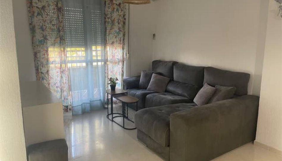 Flat for rent in Chapín - Campus Universitario - Navinco, Jerez de la Frontera - image 1 Photo 1 of Flat for rent in Chapín - Campus Universitario - Navinco, Jerez de la Frontera