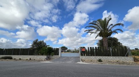 Finca rústica en venta en Calle San Antón, 4, Ayuntamiento - Barrio Alto, Sanlúcar de Barrameda - imagen 2 Foto 2 de Finca rústica en venta en Calle San Antón, 4, Ayuntamiento - Barrio Alto, Sanlúcar de Barrameda