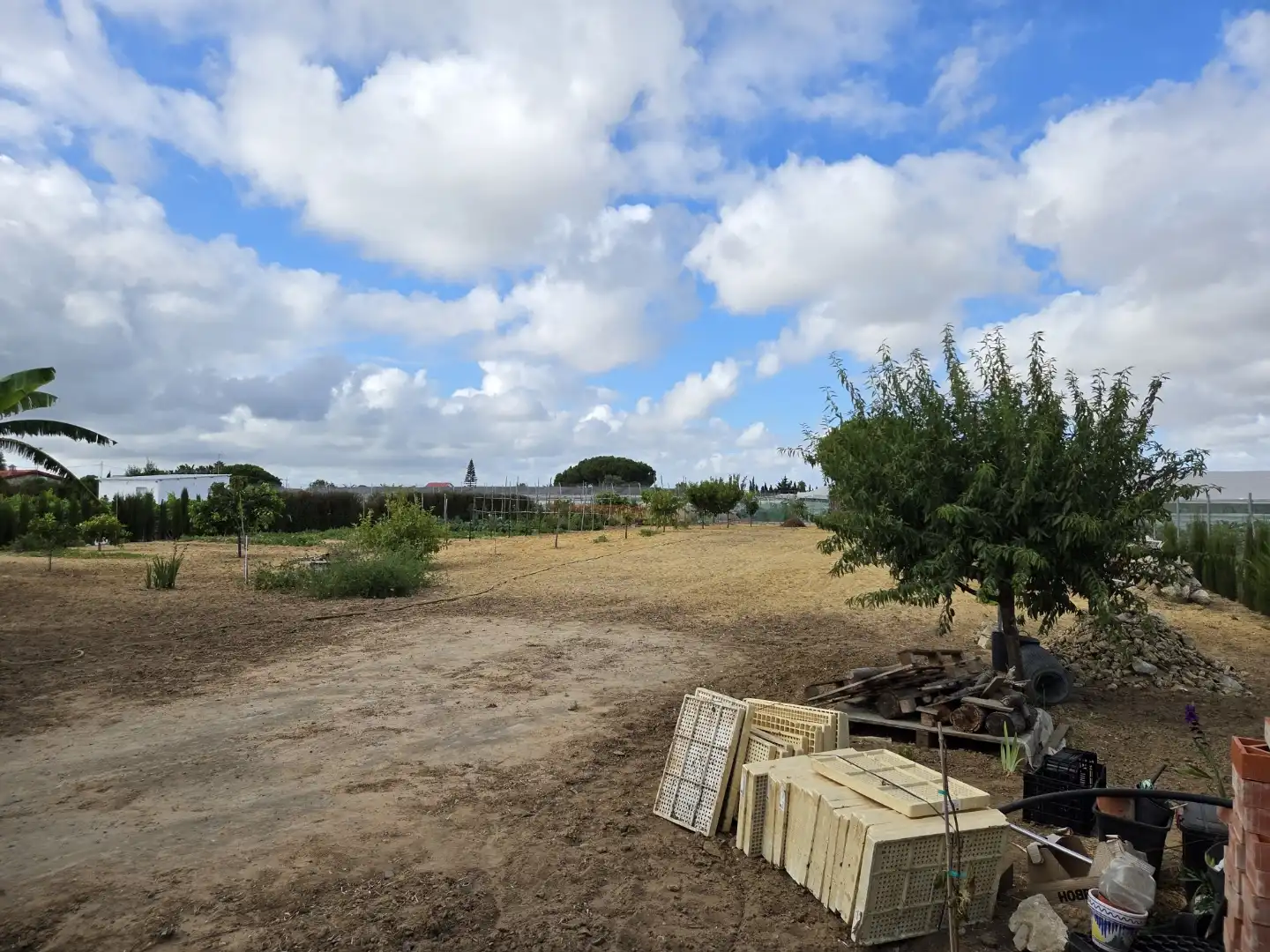 Finca rústica en venta en Calle San Antón, 4, Ayuntamiento - Barrio Alto Finca rústica en venta en Sanlúcar de Barrameda