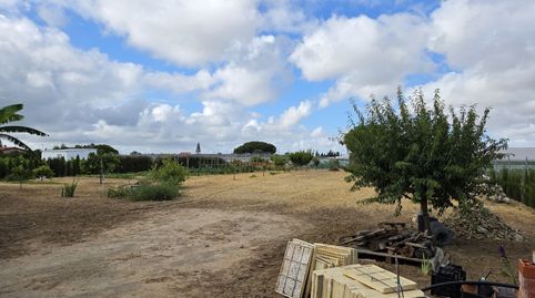Finca rústica en venta en Calle San Antón, 4, Ayuntamiento - Barrio Alto, Sanlúcar de Barrameda - imagen 3 Foto 3 de Finca rústica en venta en Calle San Antón, 4, Ayuntamiento - Barrio Alto, Sanlúcar de Barrameda