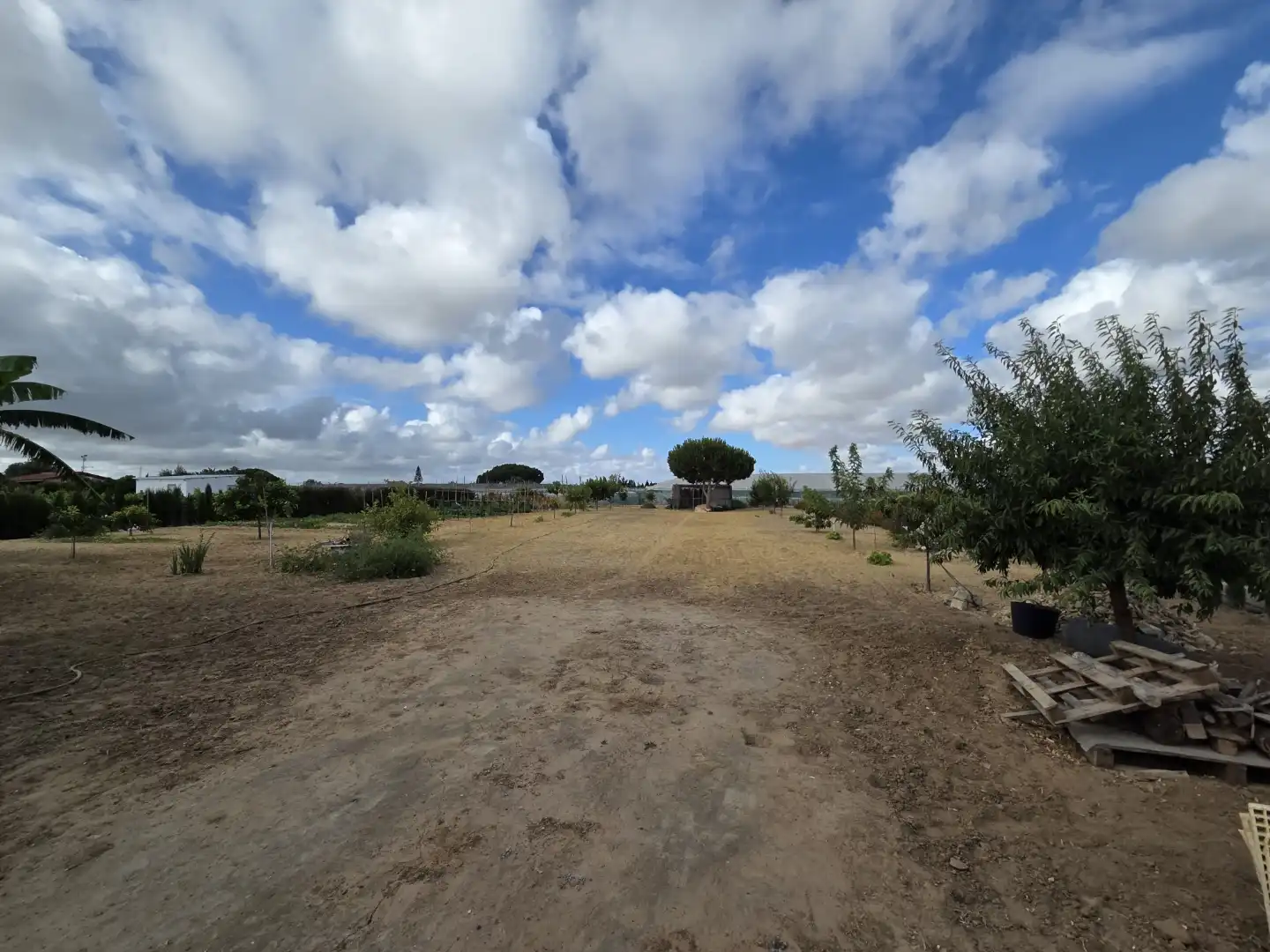 Finca rústica en venta en Calle San Antón, 4, Ayuntamiento - Barrio Alto Finca rústica en venta en Sanlúcar de Barrameda