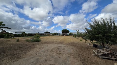 Finca rústica en venta en Calle San Antón, 4, Ayuntamiento - Barrio Alto, Sanlúcar de Barrameda - imagen 4 Foto 4 de Finca rústica en venta en Calle San Antón, 4, Ayuntamiento - Barrio Alto, Sanlúcar de Barrameda