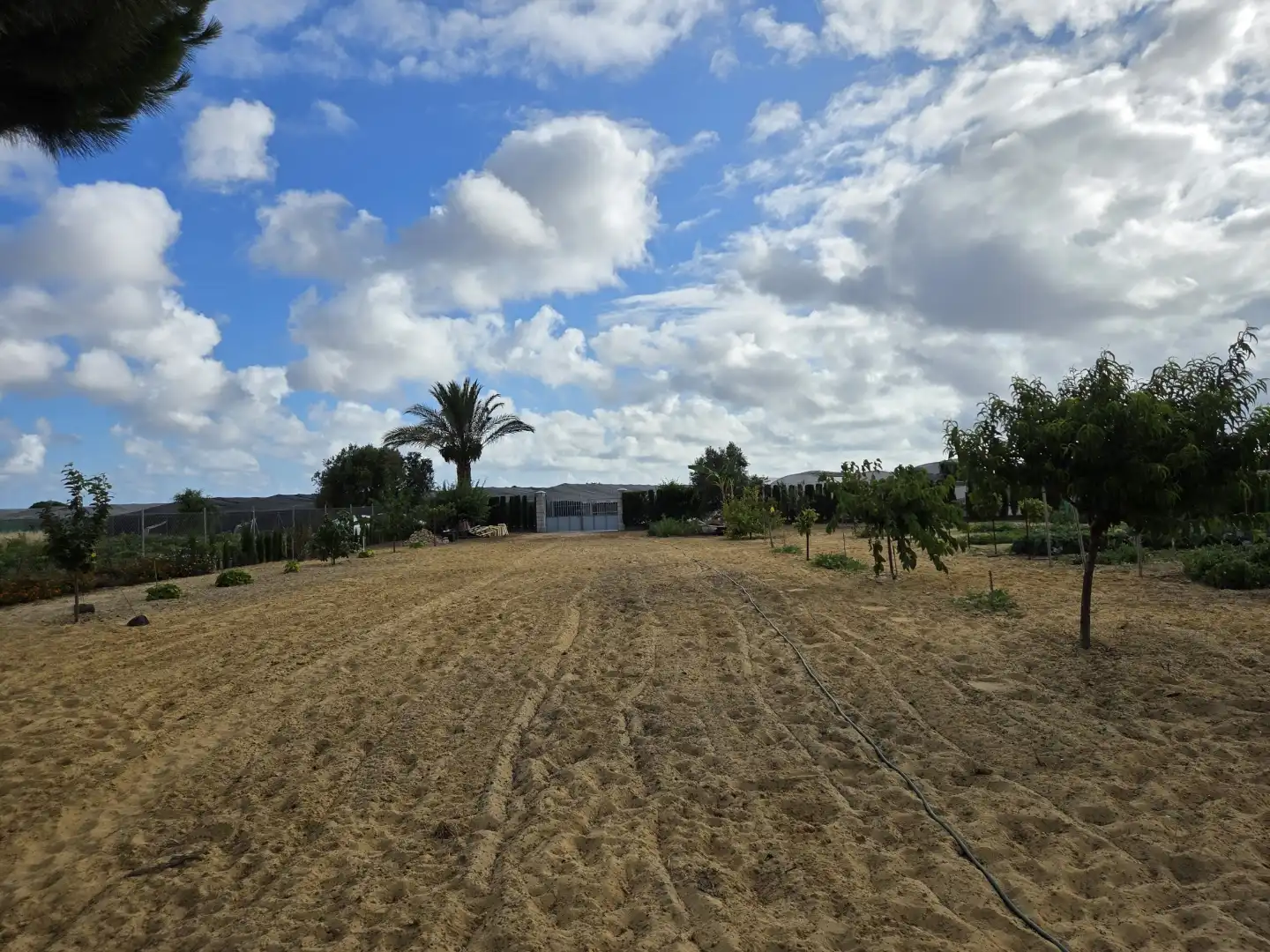 Finca rústica en venta en Calle San Antón, 4, Ayuntamiento - Barrio Alto Finca rústica en venta en Sanlúcar de Barrameda