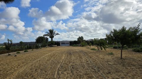 Finca rústica en venta en Calle San Antón, 4, Ayuntamiento - Barrio Alto, Sanlúcar de Barrameda - imagen 5 Foto 5 de Finca rústica en venta en Calle San Antón, 4, Ayuntamiento - Barrio Alto, Sanlúcar de Barrameda
