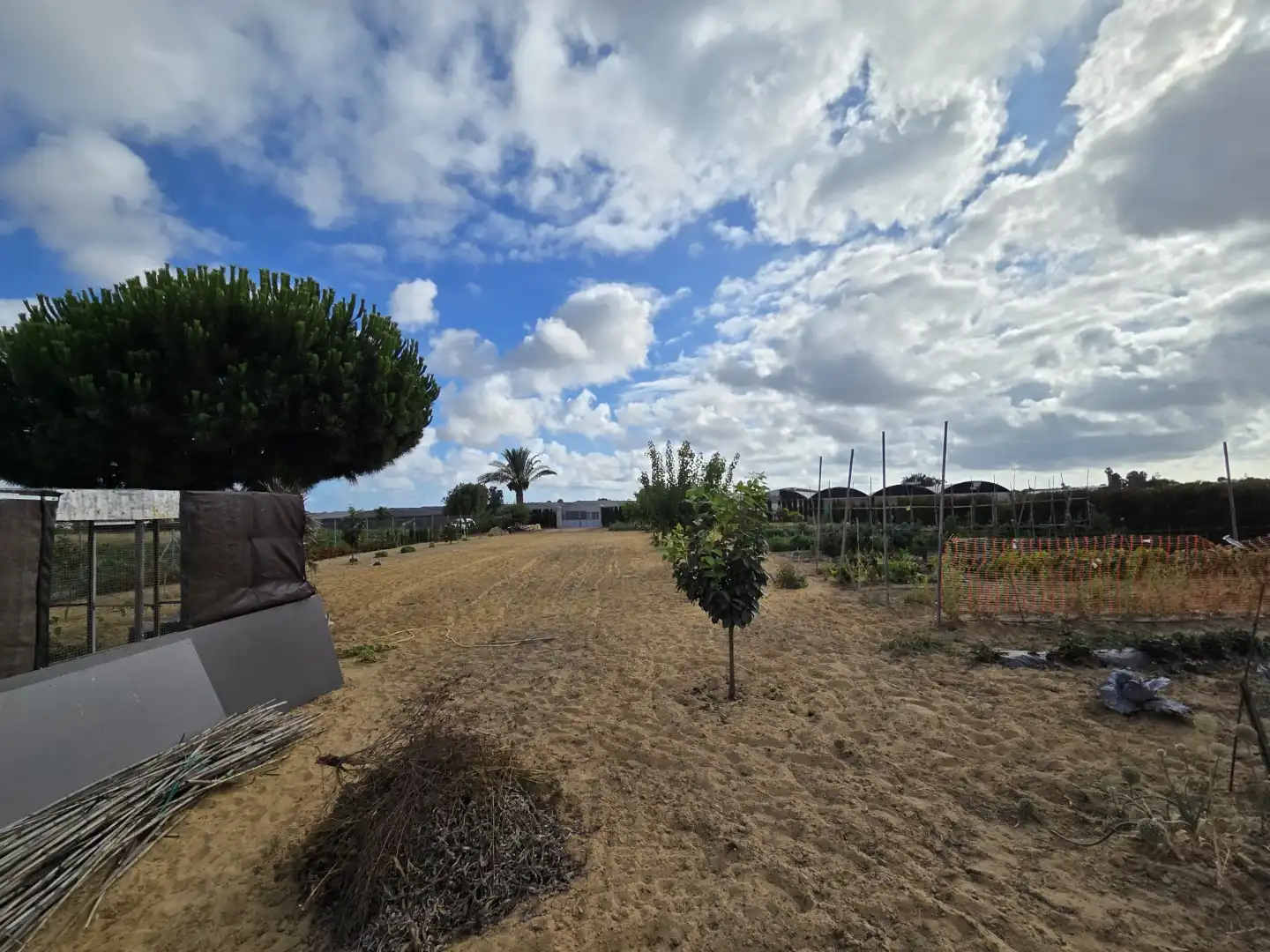 Finca rústica en venta en Calle San Antón, 4, Ayuntamiento - Barrio Alto Finca rústica en venta en Sanlúcar de Barrameda