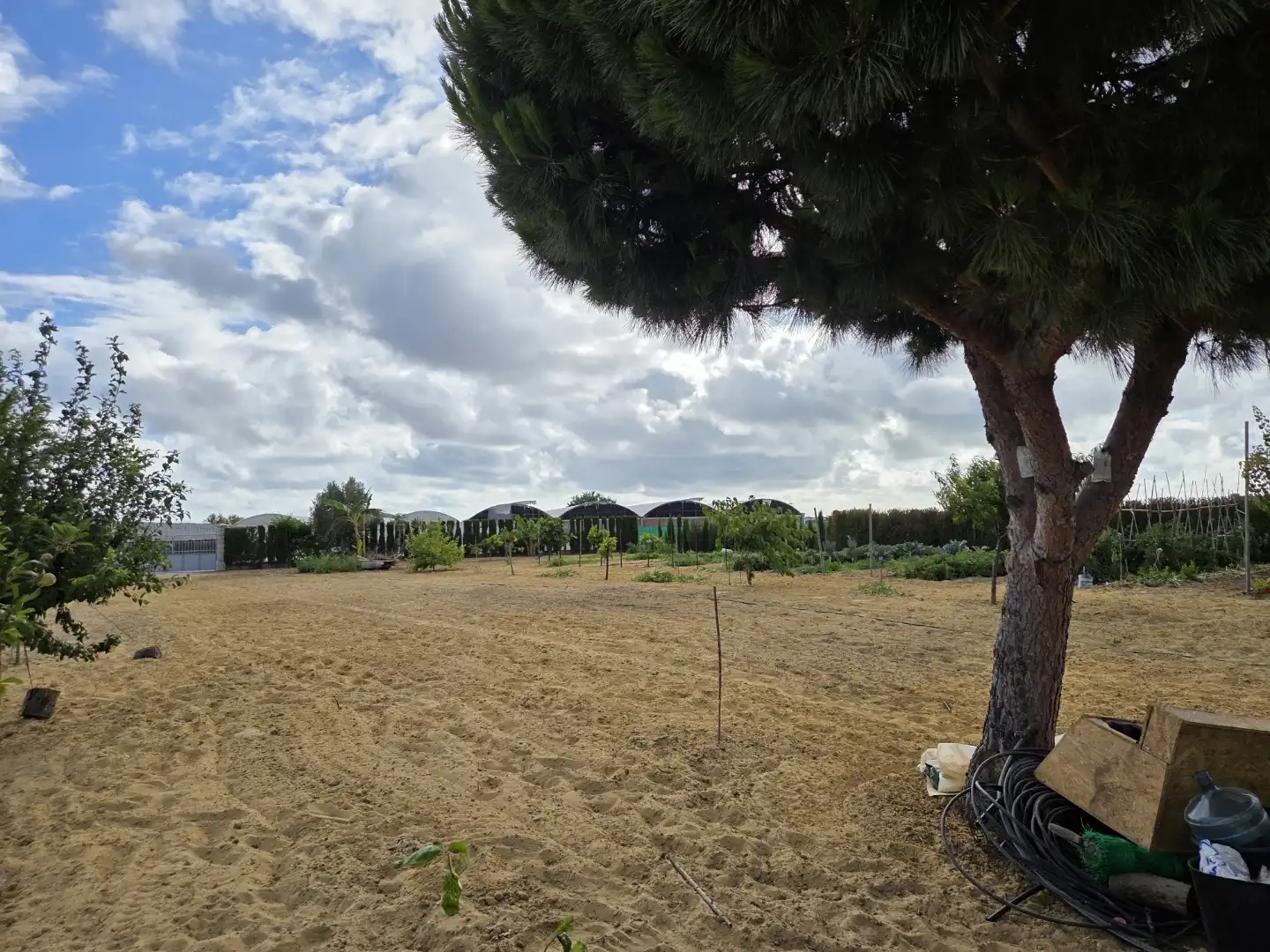 Finca rústica en venta en Calle San Antón, 4, Ayuntamiento - Barrio Alto Finca rústica en venta en Sanlúcar de Barrameda