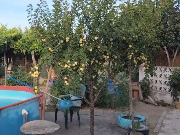 Garden of Houses for sale in Estremera  with Air Conditioner, Heating and Private garden
