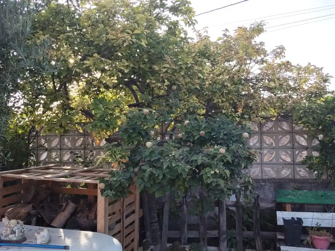 Garden of Houses for sale in Estremera  with Air Conditioner, Heating and Private garden