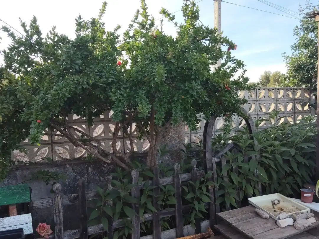 Garden of Houses for sale in Estremera  with Air Conditioner, Heating and Private garden