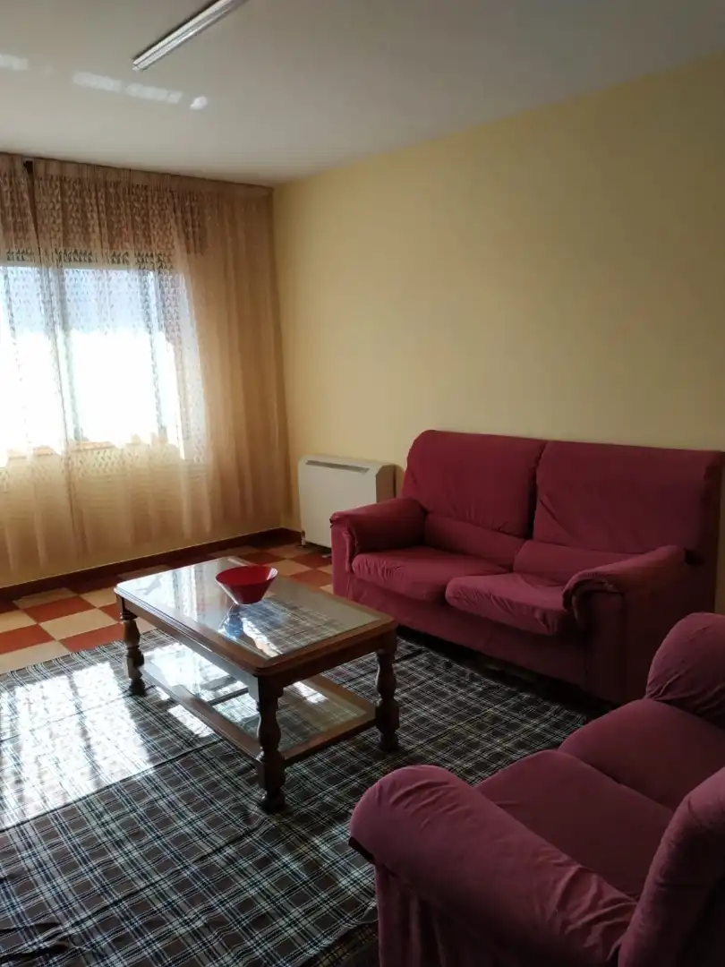 Sala de estar de Piso de alquiler en Pontevedra Capital  con Calefacción, Amueblado y Horno
