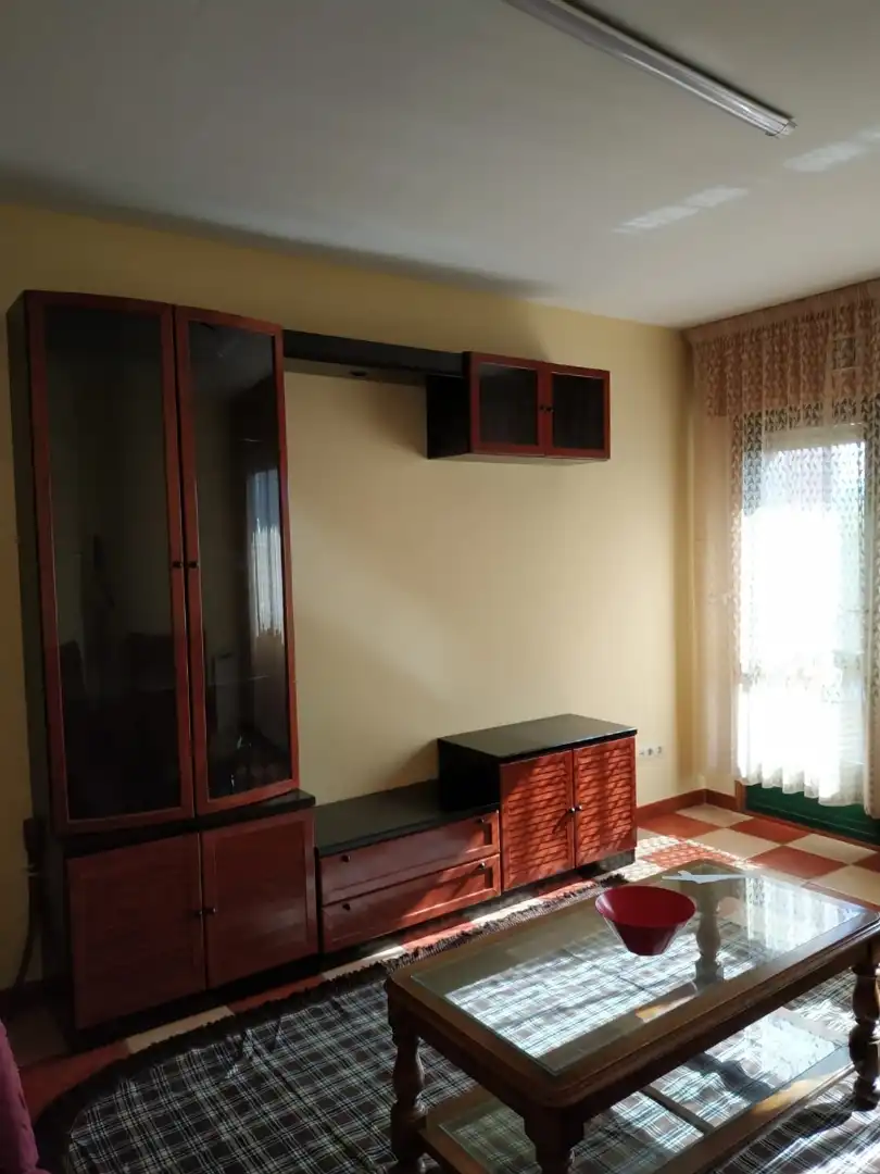 Sala de estar de Piso de alquiler en Pontevedra Capital  con Calefacción, Amueblado y Horno