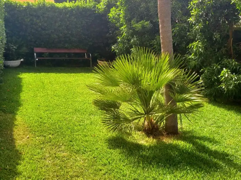 Jardí de Apartament de lloguer en El Puig de Santa Maria amb Terrassa, Piscina i Moblat