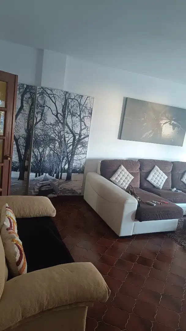 Sala d'estar de Pis de lloguer en Burela amb Parquet, Terrassa i Moblat