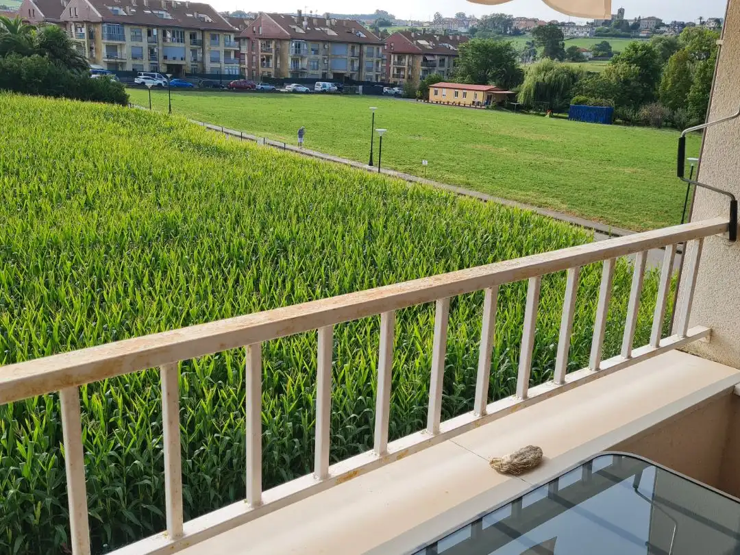 Terrasse von Wohnung zum Verkauf in Meruelo mit Terrasse