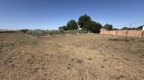 Casa o xalet en venda a Calle Julio Romero de Torres, 0g, La Granjuela, Córdoba - imatge 2 Foto 2 de Casa o xalet en venda a Calle Julio Romero de Torres, 0g, La Granjuela, Córdoba