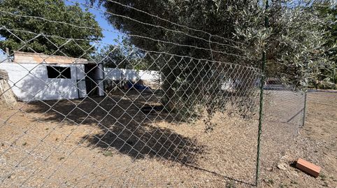 Casa o xalet en venda a Calle Julio Romero de Torres, 0g, La Granjuela, Córdoba - imatge 4 Foto 4 de Casa o xalet en venda a Calle Julio Romero de Torres, 0g, La Granjuela, Córdoba