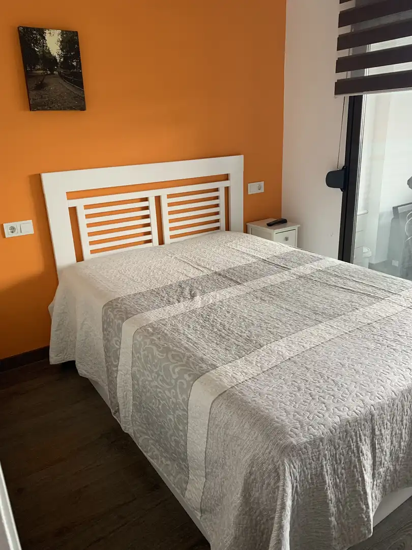 Piso de alquiler en Calle la Pipa, 1, Juzgados - Plaza de Toros Habitación de Piso de alquiler en Benidorm con Aire acondicionado, Calefacción y Jardín privado