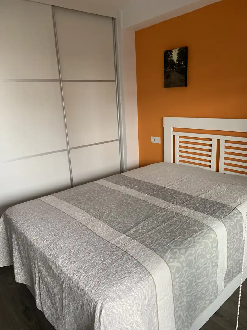 Piso de alquiler en Calle la Pipa, 1, Juzgados - Plaza de Toros Habitación de Piso de alquiler en Benidorm con Aire acondicionado, Calefacción y Jardín privado
