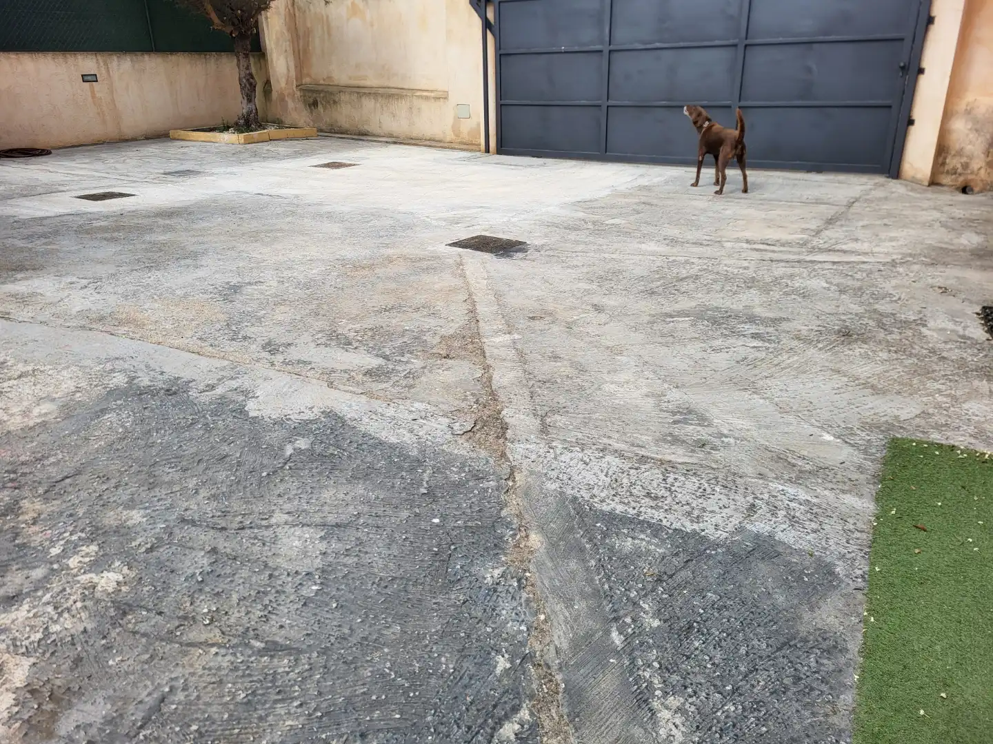 Planta baixa de lloguer a Carrer del Molí del Comte, 44, Establiments