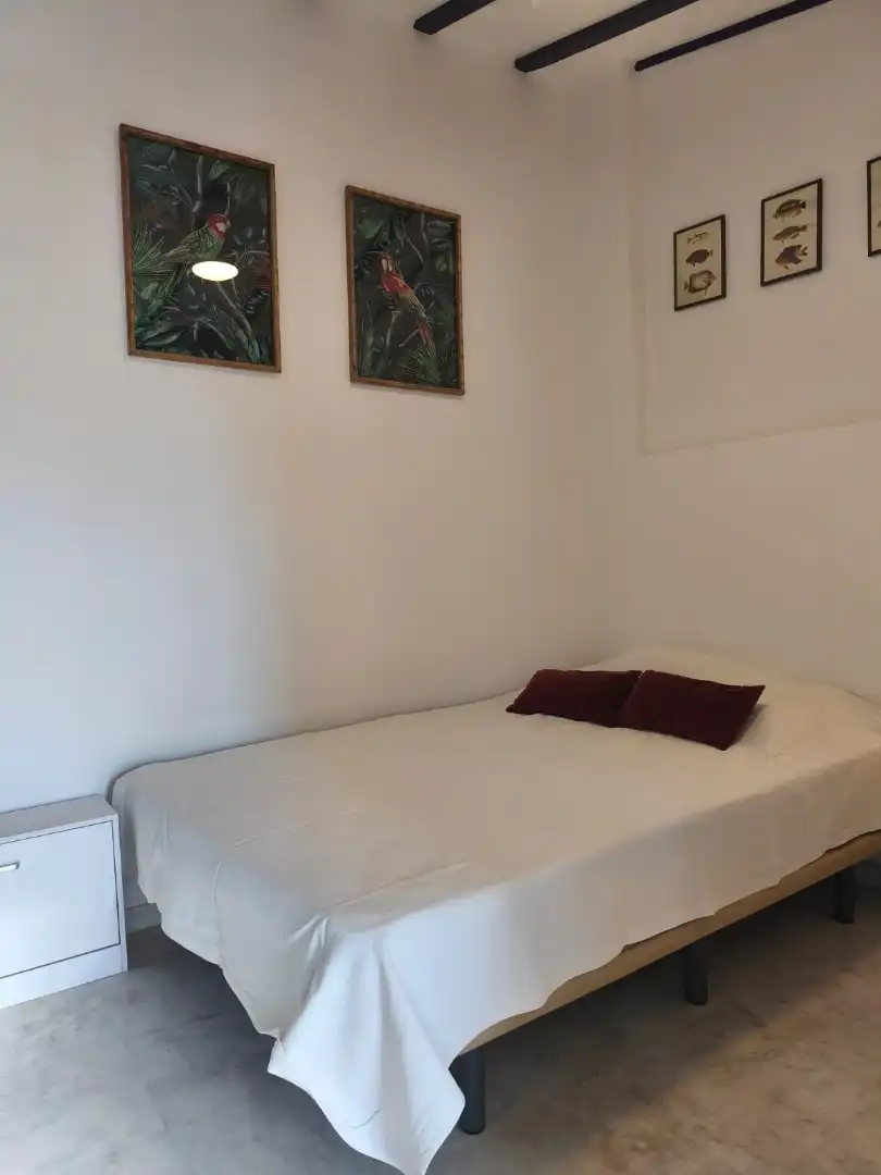 Dormitori de Àtic de lloguer en Sevilla amb Aire condicionat, Calefacció i Jardí privat