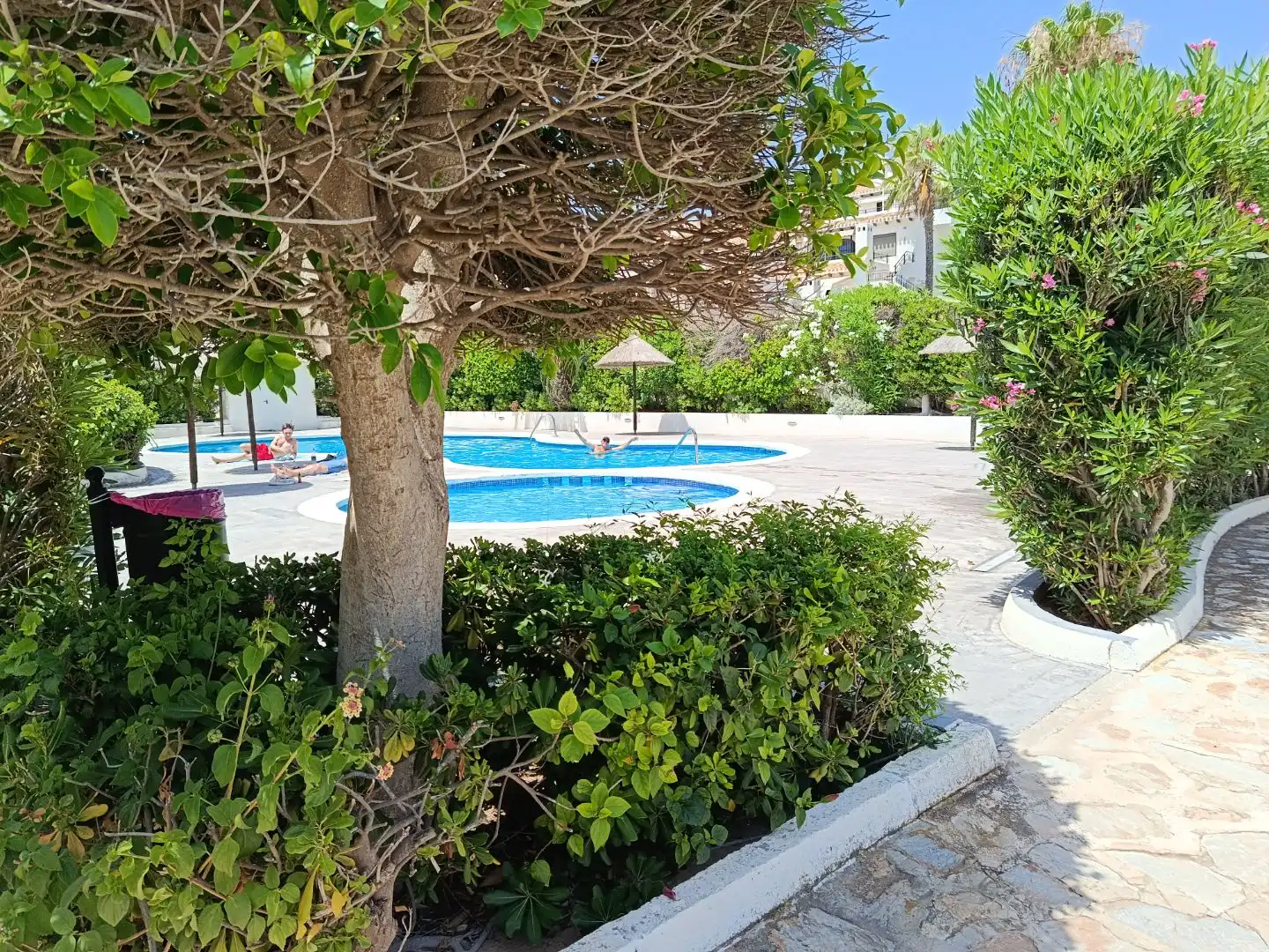 Piscina de Apartament de lloguer en Orihuela