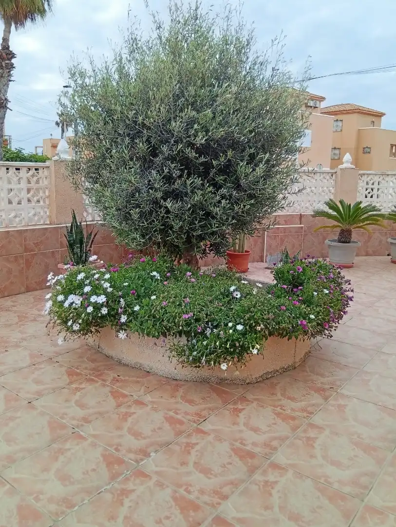 Maisonette zum Verkauf in Calle Gandhi, 10, Zona los Frutales Terrasse von Maisonette zum Verkauf in Torrevieja mit Privatgarten, Terrasse und Abstellraum