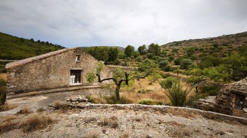 Finca rústica en venta en Carrer L'olivera, 33, Useras / Les Useres, Castellón - imagen 5 Foto 5 de Finca rústica en venta en Carrer L'olivera, 33, Useras / Les Useres, Castellón