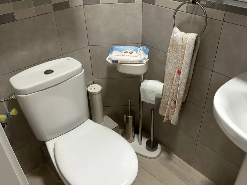 Bathroom of Flat for rent in Pilar de la Horadada  with Air Conditioner, Heating and Furnished