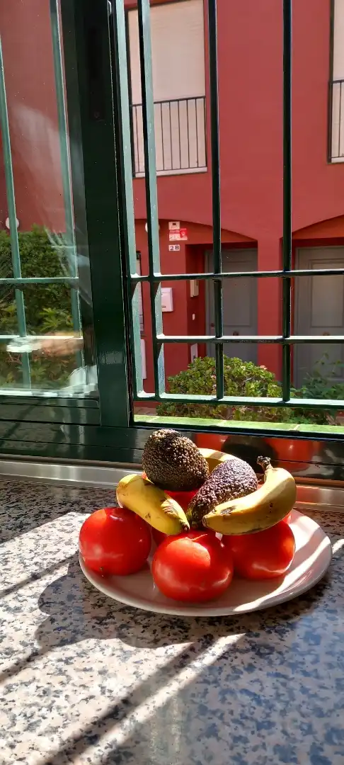 Dúplex de alquiler en Chiclana de la Frontera con Jardín privado, Terraza y Amueblado