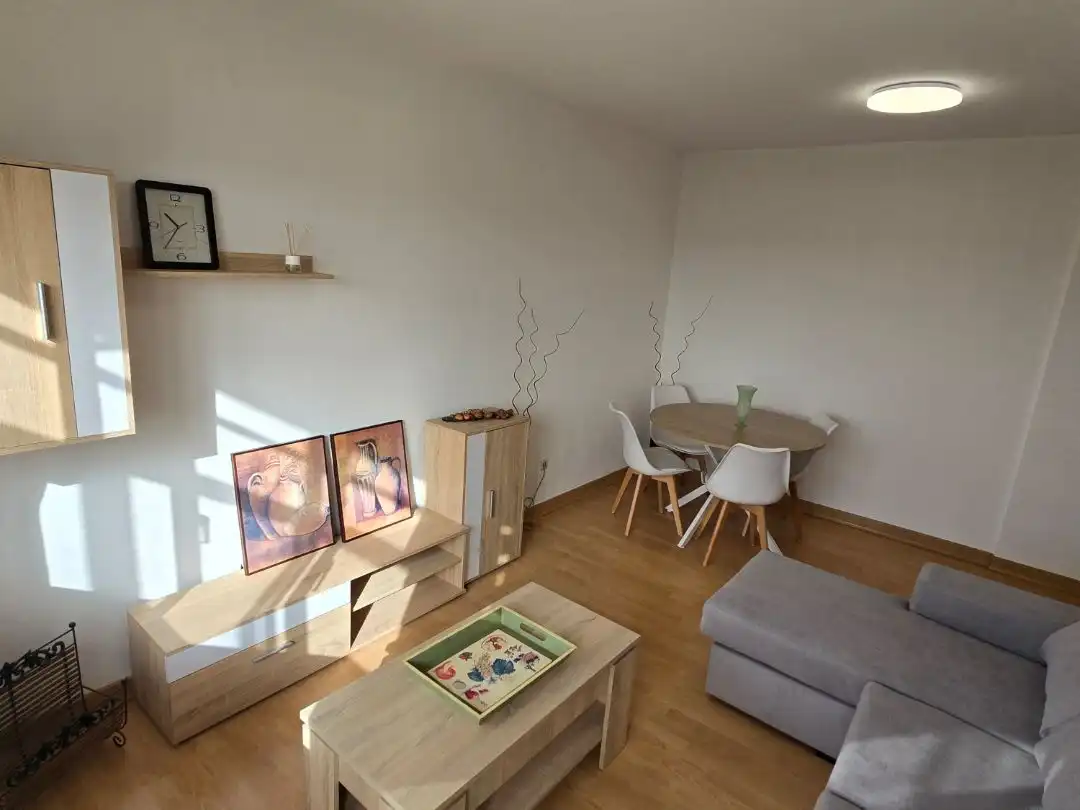 Flat for rent in Rúa Otero Pedrayo, 33, Paradai Living room of Flat for rent in Lugo with Furnished and Balcony